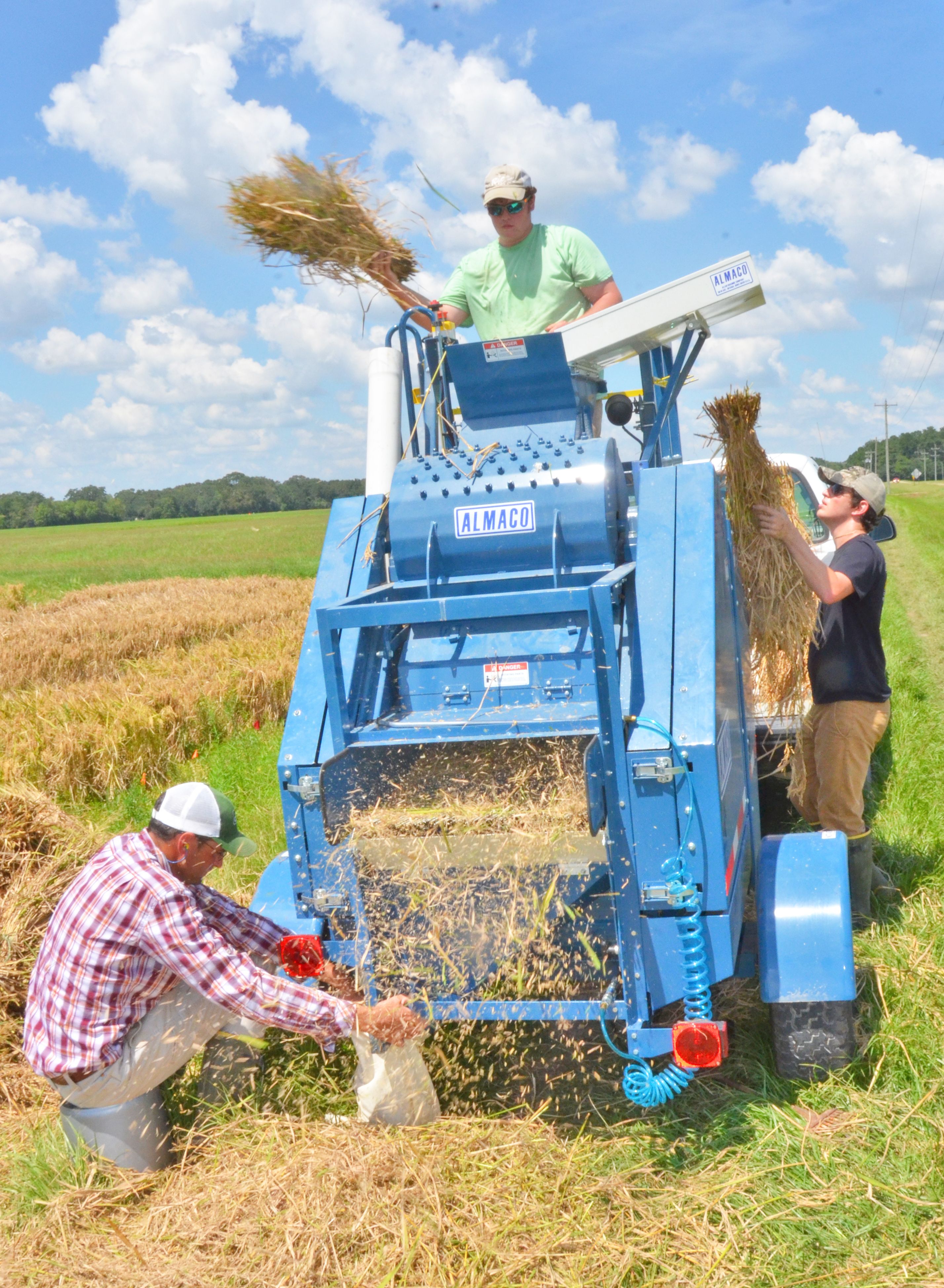 Economic Significance of the LSU AgCenter Plant Breeding Program for Louisiana 
